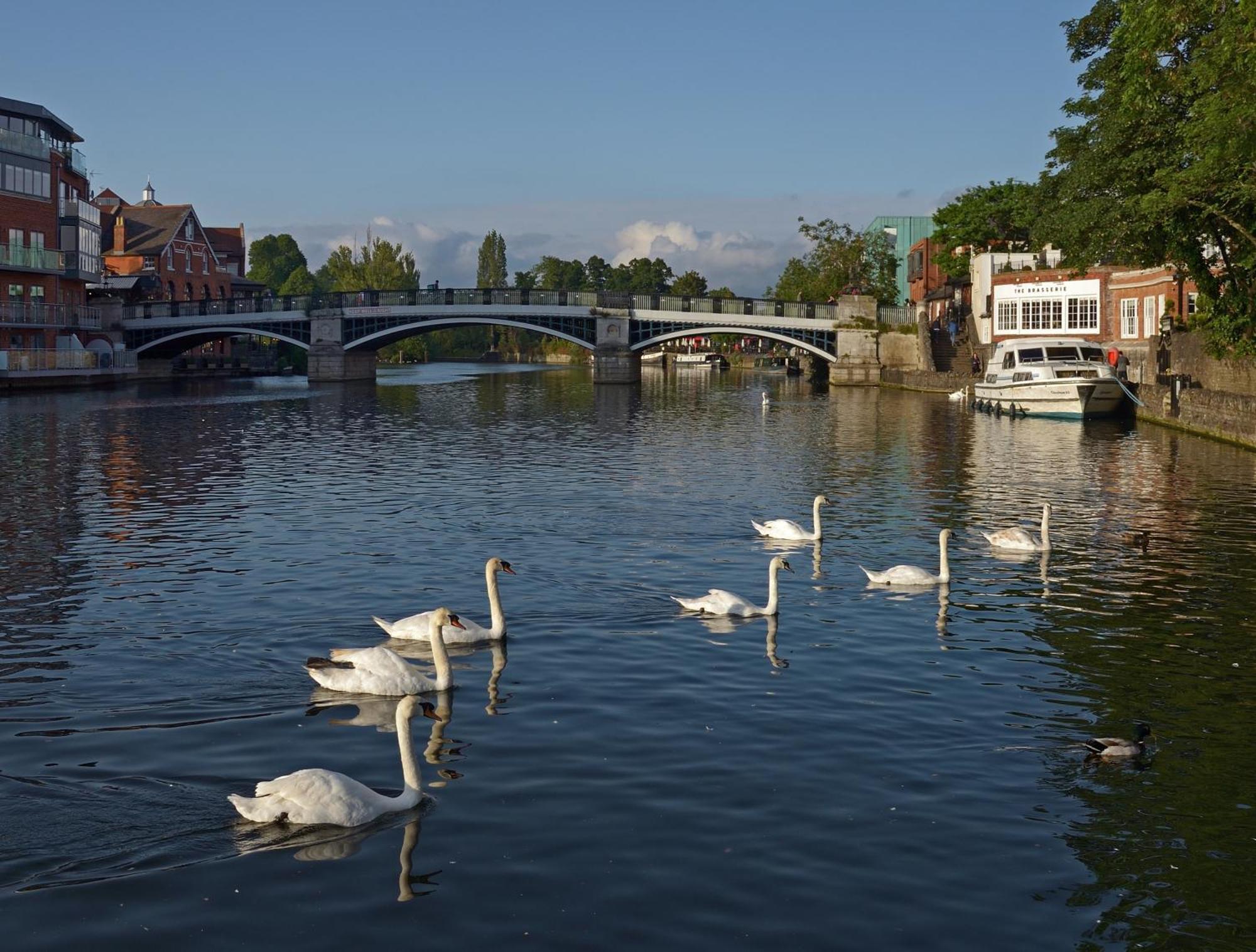 Top Floor En-Suite Double Bedrooms With Great View Of Windsor Castle & Free Parking Zewnętrze zdjęcie